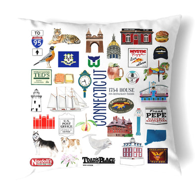 Reversible 18" Connecticut Throw Pillow