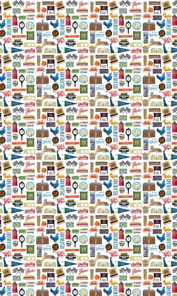 Iconic Delaware Watercolor Gift Wrap