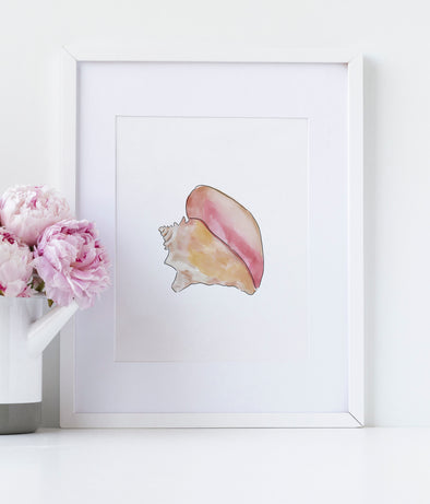 Conch watercolor art print (unframed)